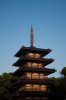 Japan Pagoda at Sunset.jpg