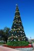 EPCOT Tree.jpg