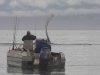 Fishing boat & whale.jpg