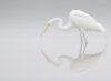 egret-reflected-on-foggy-morning-.jpg