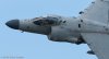 Harrier-high-speed-pass-medium-FB.jpg