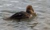 female-hoody-with-fish.jpg